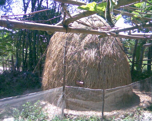 Hương quê